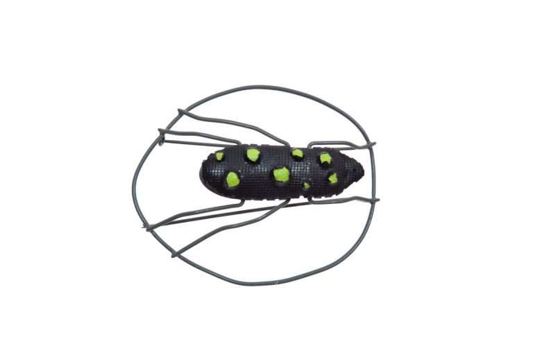 Käfer mit grünen Punkten